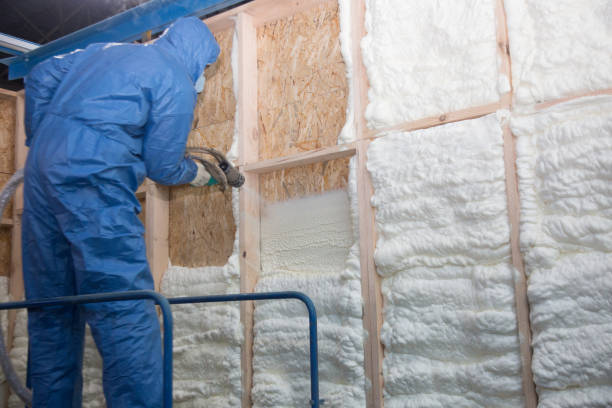 Best Commercial Insulation Services  in Lincoln, MO